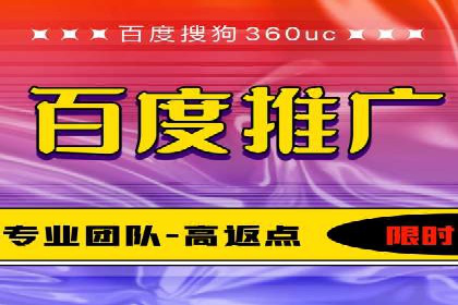 行业领先SEM托管代运营案例